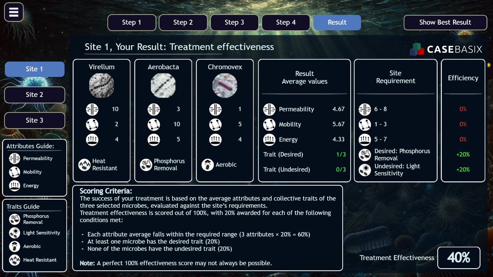 Understanding the McKinsey Game - showing Sea Wolf simulation Site 1 result